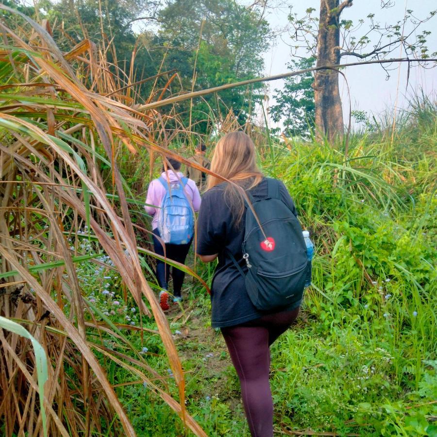 Hotel Tiger Tops Sauraha Esterno foto