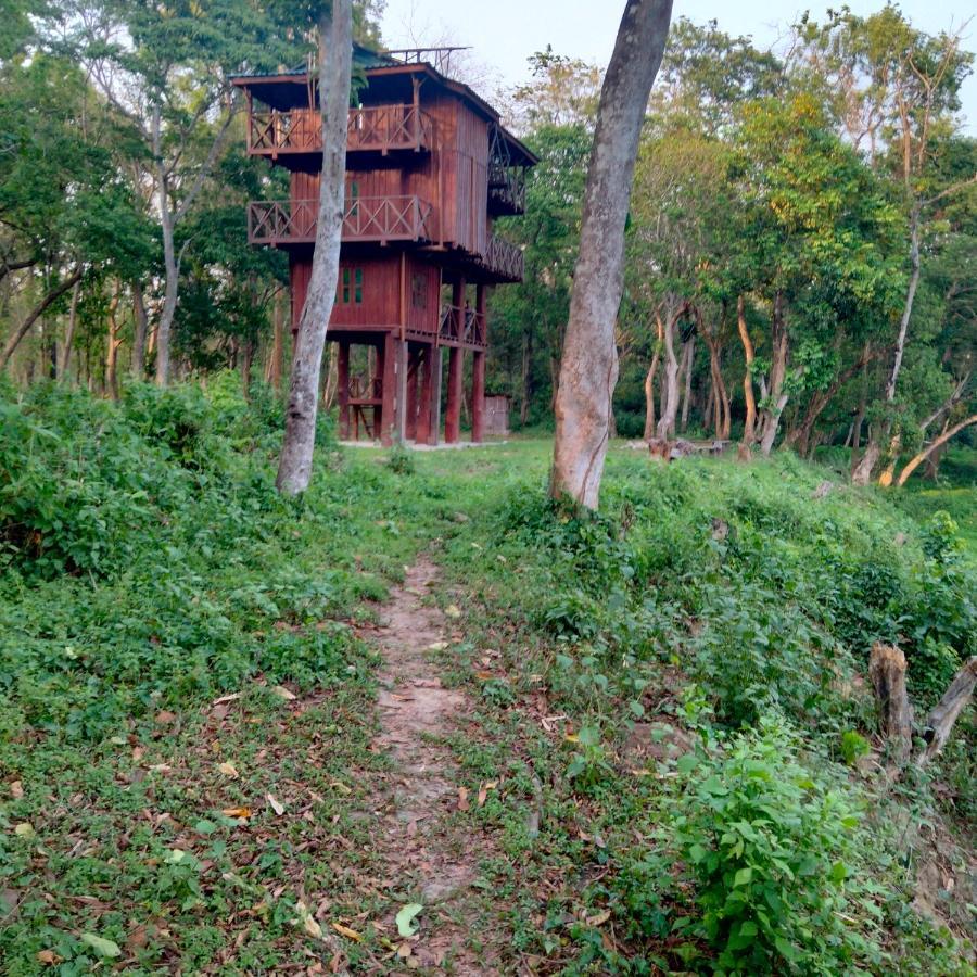 Hotel Tiger Tops Sauraha Esterno foto