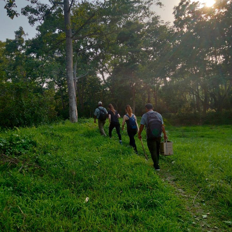 Hotel Tiger Tops Sauraha Esterno foto