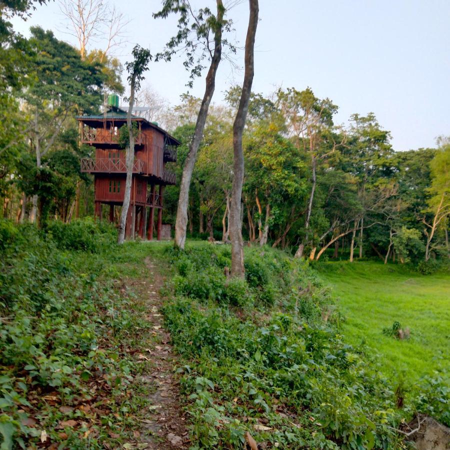 Hotel Tiger Tops Sauraha Esterno foto