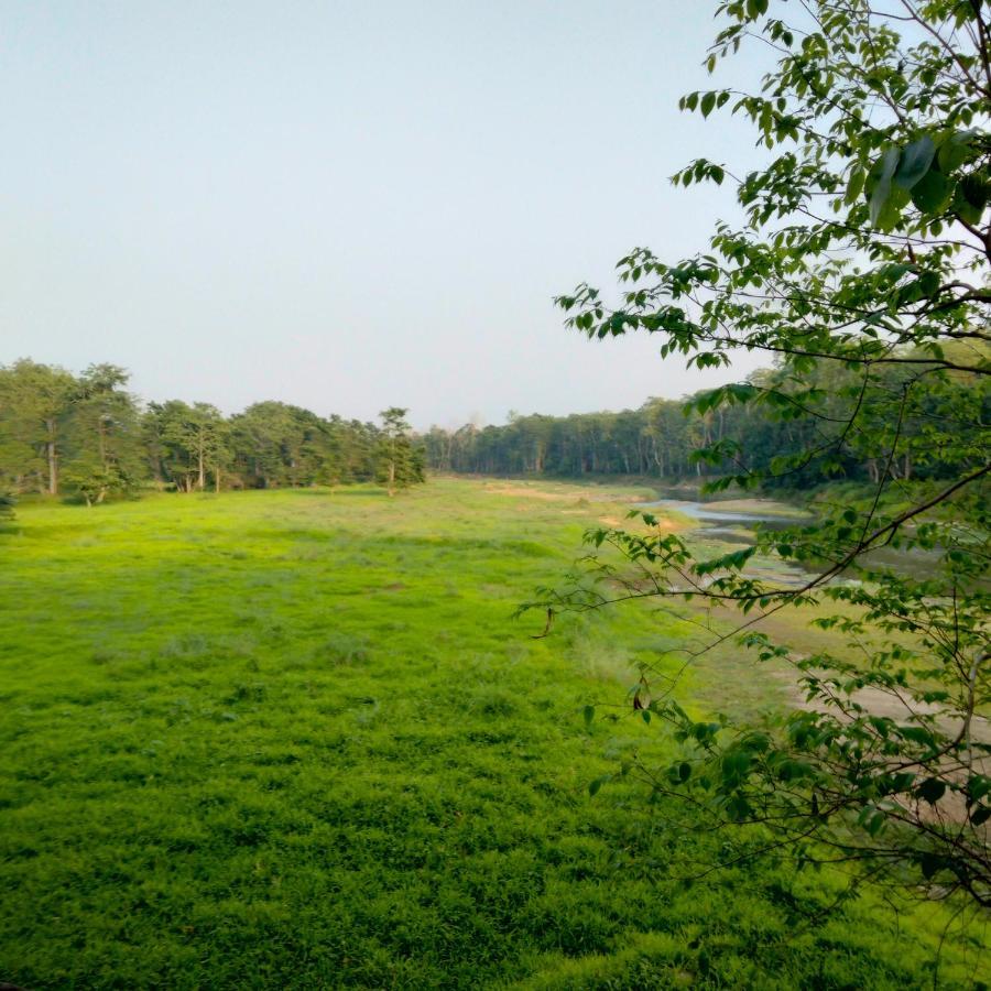 Hotel Tiger Tops Sauraha Esterno foto