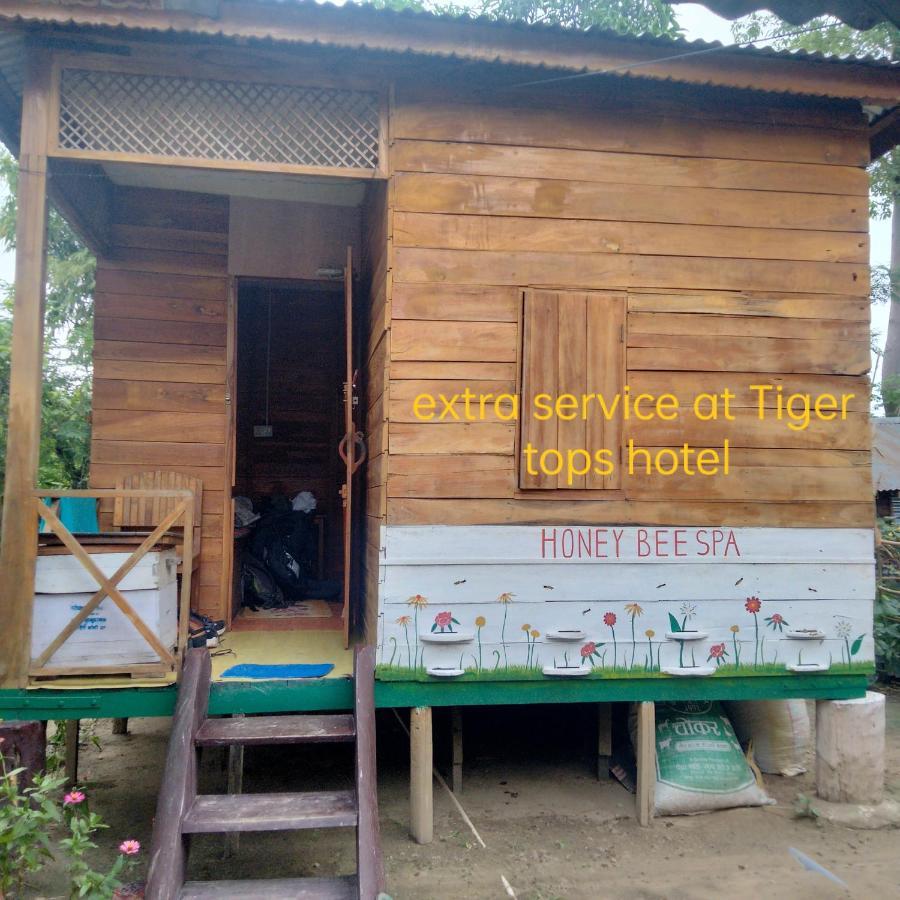Hotel Tiger Tops Sauraha Esterno foto