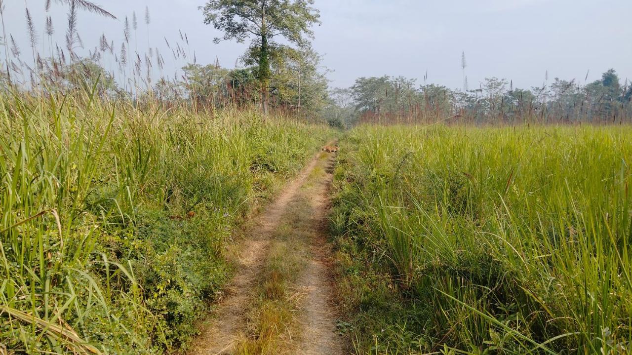 Hotel Tiger Tops Sauraha Esterno foto