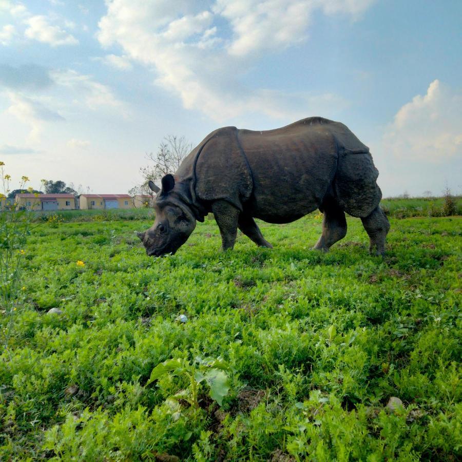Hotel Tiger Tops Sauraha Esterno foto