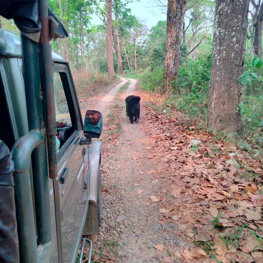 Hotel Tiger Tops Sauraha Esterno foto