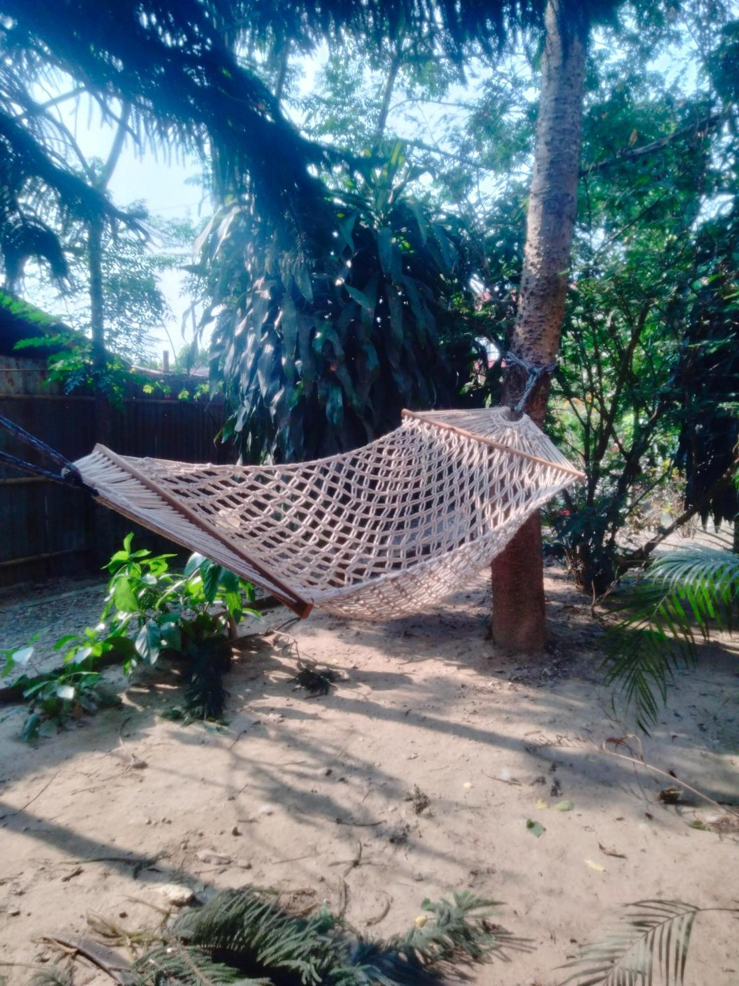 Hotel Tiger Tops Sauraha Esterno foto