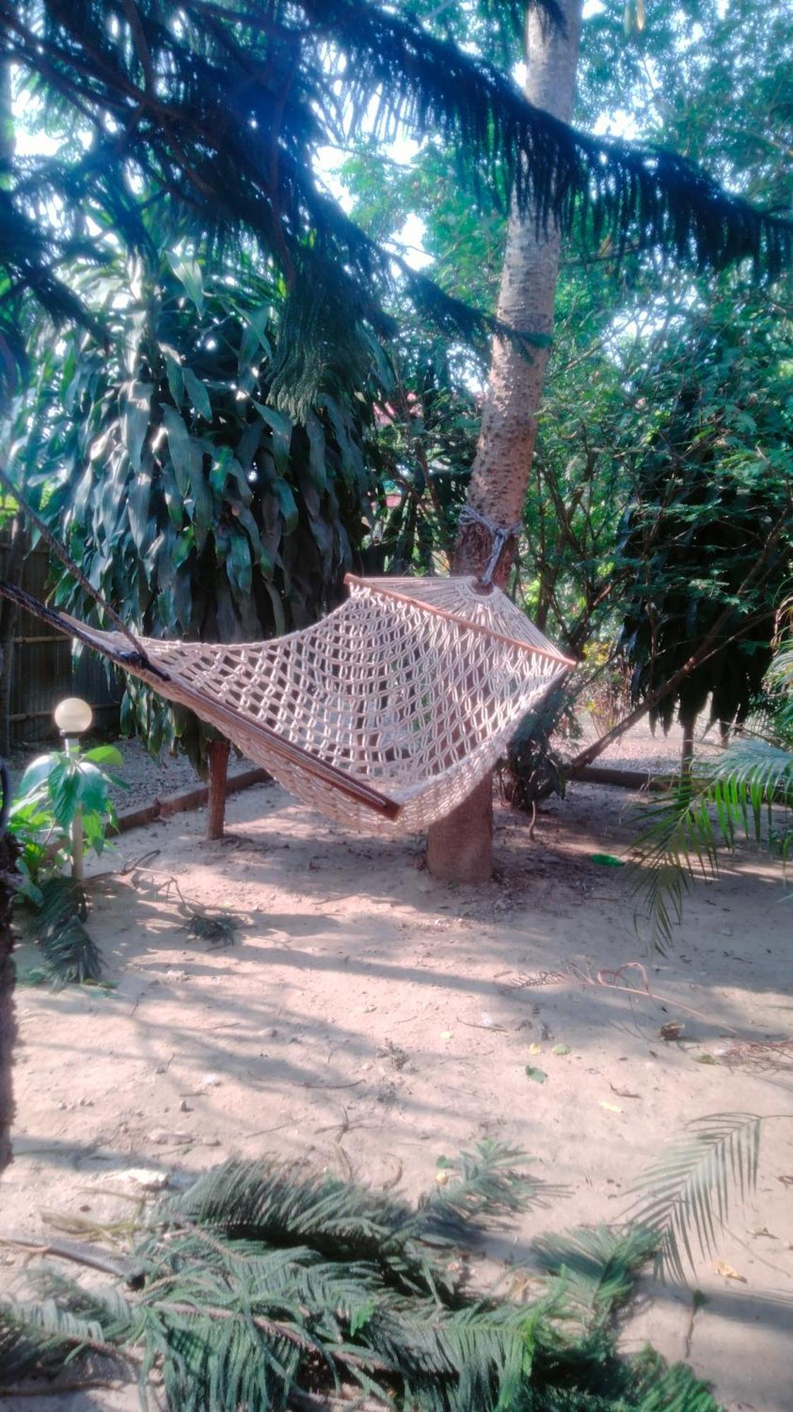 Hotel Tiger Tops Sauraha Esterno foto
