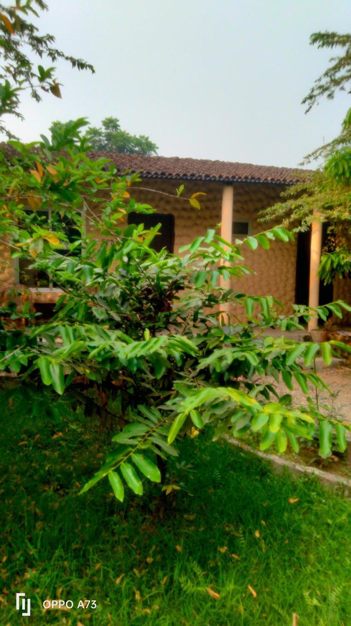 Hotel Tiger Tops Sauraha Camera foto