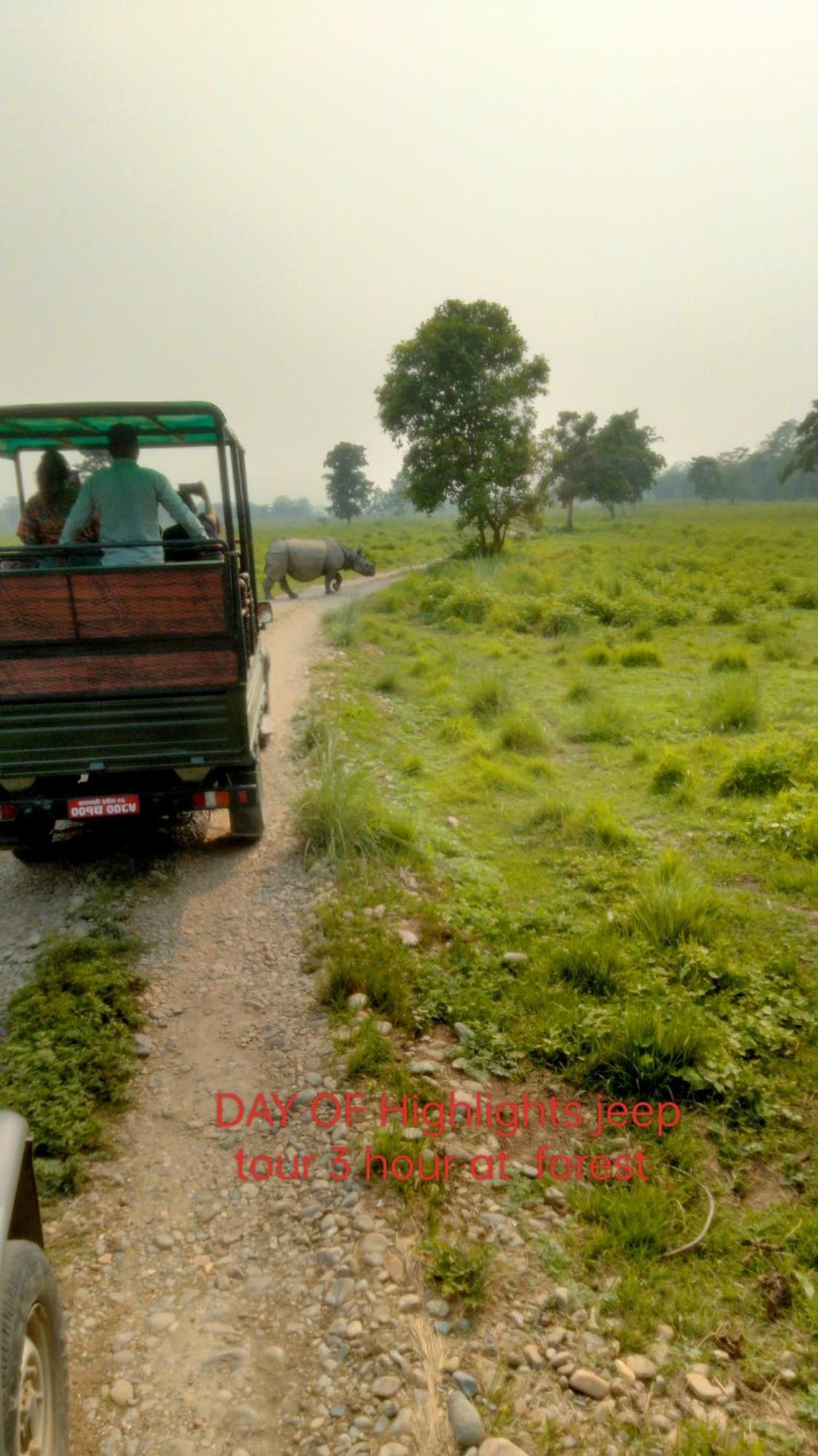 Hotel Tiger Tops Sauraha Esterno foto