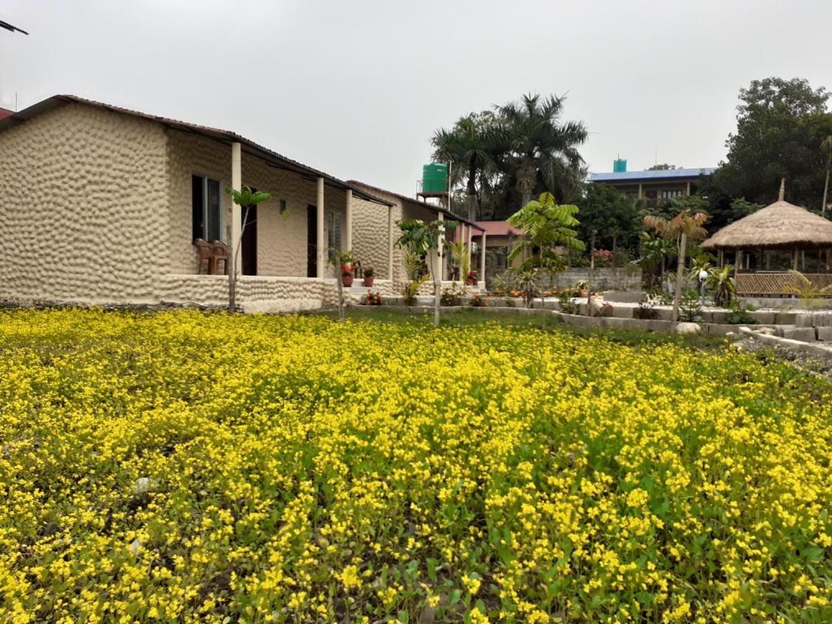 Hotel Tiger Tops Sauraha Esterno foto